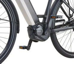 Prophete E-Bike Geniesser 4.8 RH48
