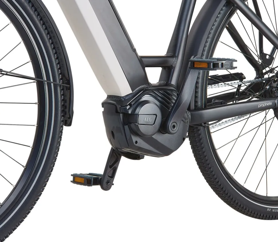 Prophete E-Bike Geniesser 4.8 RH48