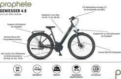 Prophete E-Bike Geniesser 4.8 RH48
