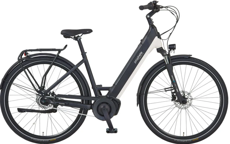 Prophete E-Bike Geniesser 4.8 RH48