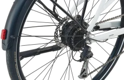 Prophete E-Bike Urbanicer 2.0 28" Diamant RH53