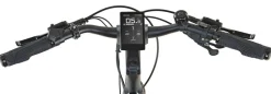 PROPHETE ENTDECKER 5.0, Damen Trekking-E-Bike 28"