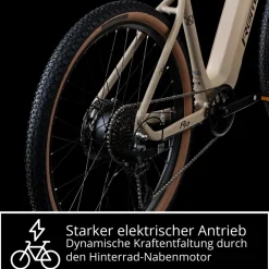 Remington XR01 E Bike Mountainbike 29 Zoll Pedelec 10 Gänge 550 Wh Akku Fahrrad Hardtail MTB