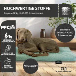 Rohrschneider Tierkissen Gr.3 Posterstoff Türkis + faltbarer Reisenapf