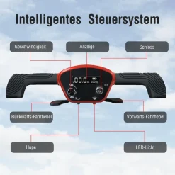 SachsenRAD BestAGE Seniorenmobil Komfort, elektrisch und falten per Fernbedienung