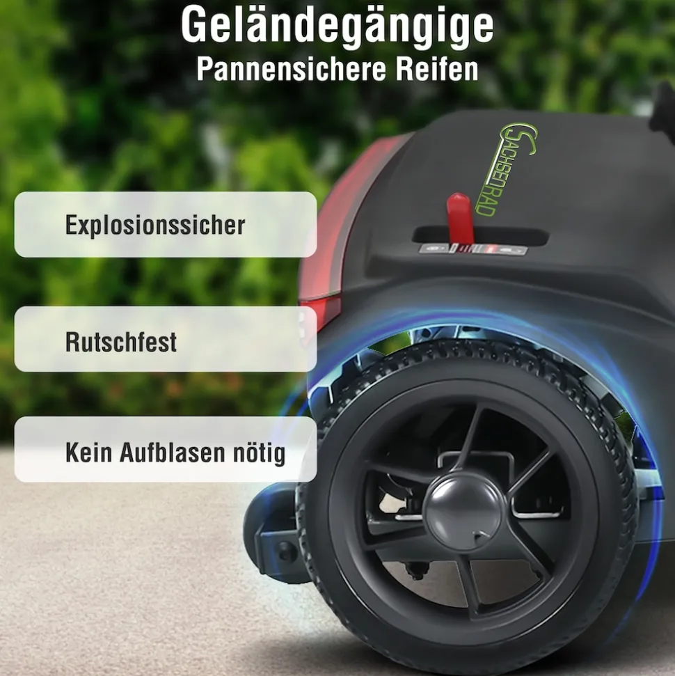 SachsenRAD BestAGE Seniorenmobil Royal
