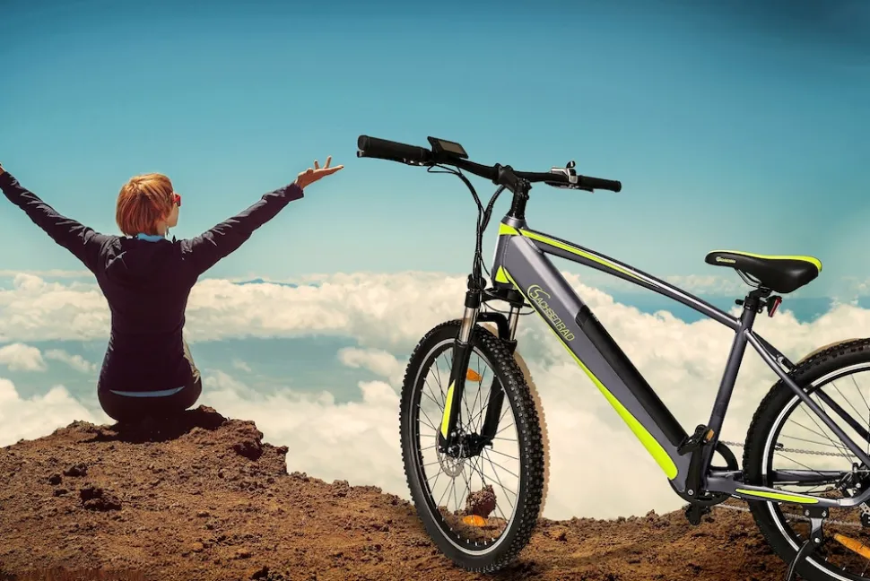 SachsenRAD E-Racing Mountain Bike R8 Flex III für On- und Offroad dunkelgrau 27.5 Zoll