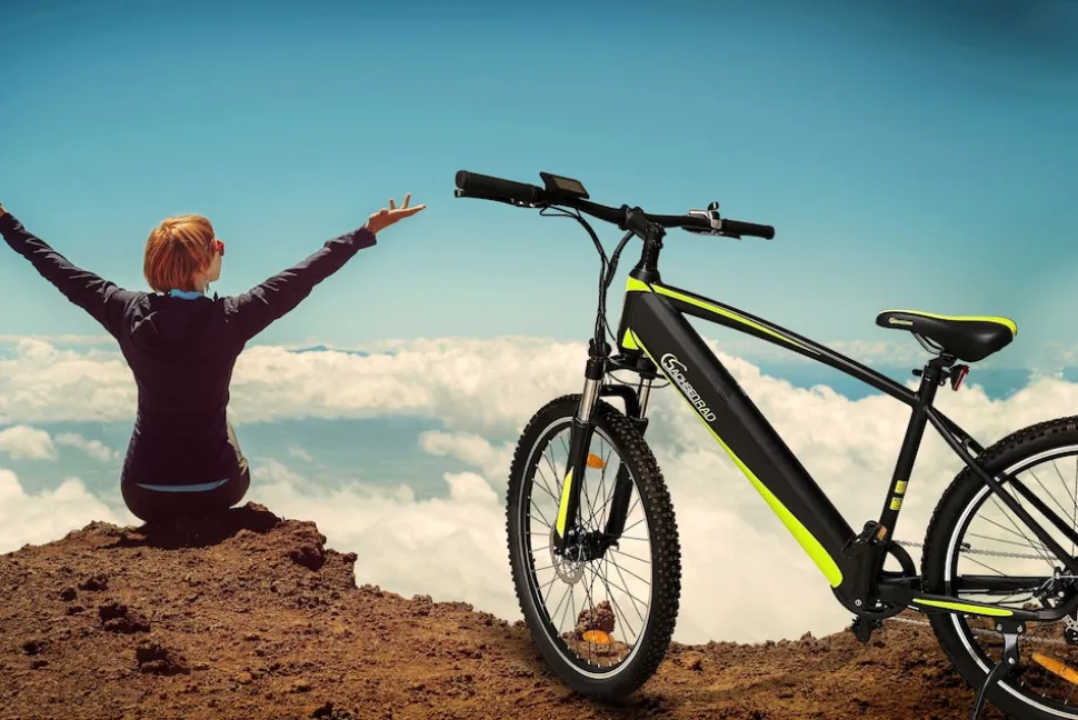 SachsenRAD E-Racing Mountain Bike R8 Flex III für On- und Offroad dunkelgrau 27.5 Zoll