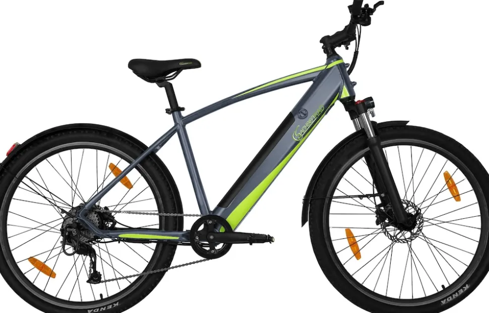 SachsenRAD E-Racing Mountain Bike R8 Flex III für On- und Offroad dunkelgrau 27.5 Zoll
