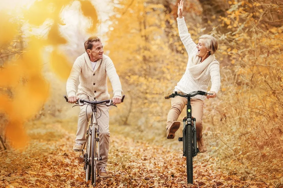 SachsenRAD E-SUV CityBike C5 Centro mit Diebstahlsicherung schwarz