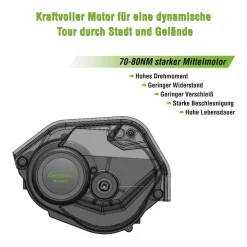 SachsenRAD E-SUV CityBike C5R Centro