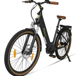 SachsenRAD E-SUV CityBike C5R Centro