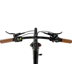 SachsenRAD E-SUV CityBike C5R Centro