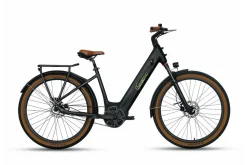 SachsenRAD E-SUV CityBike C5R Centro