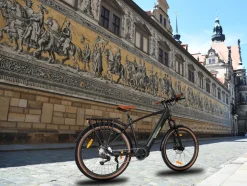 SachsenRAD E-SUV S8 Centro E-Bike für Stadt, Trekking, Gelände, hohe Reichweite