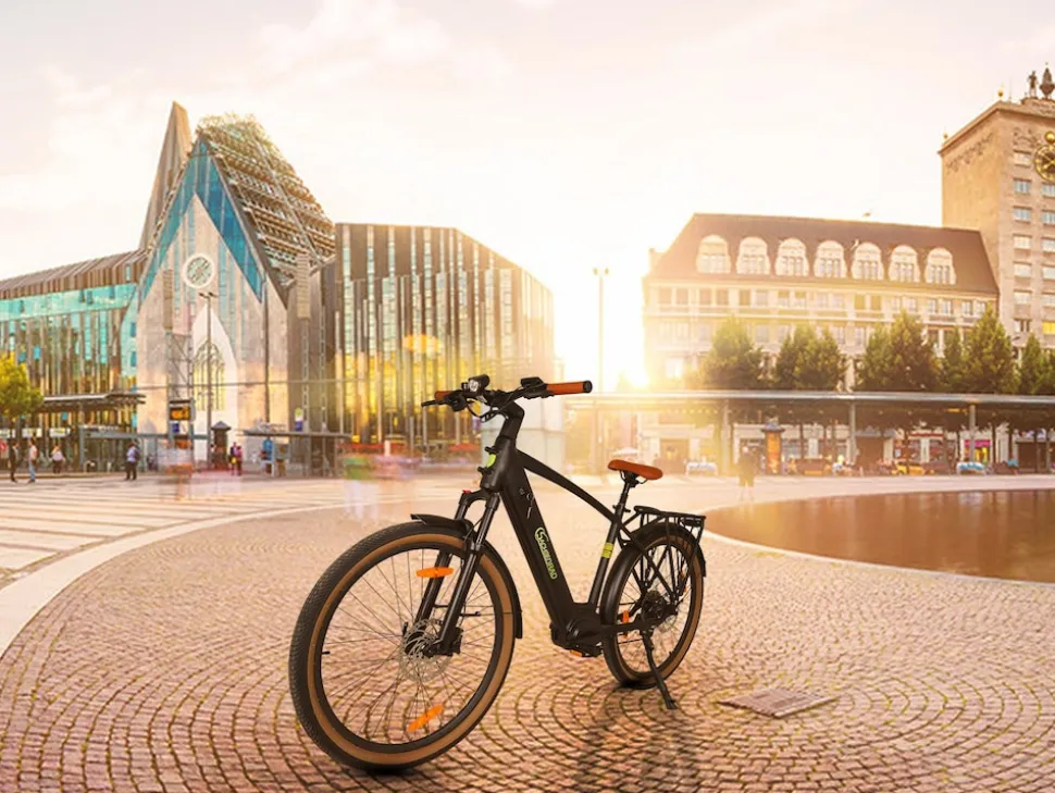 SachsenRAD E-SUV S8 Centro E-Bike für Stadt, Trekking, Gelände, hohe Reichweite