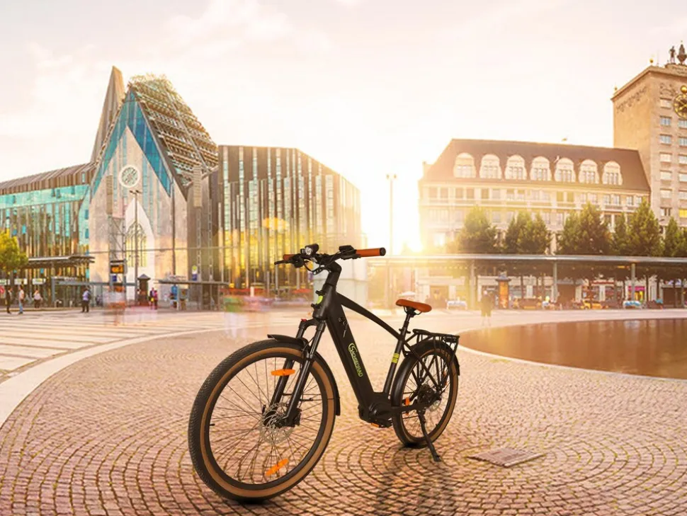 SachsenRAD E-SUV S8 Centro E-Bike für Stadt, Trekking, Gelände, hohe Reichweite