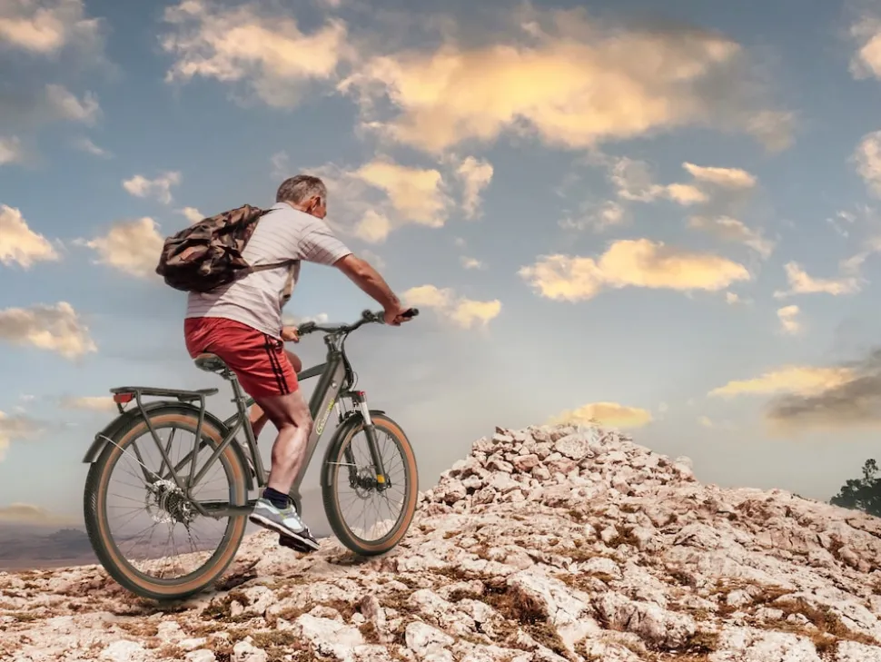 SachsenRAD E-SUV S8 Centro E-Bike für Stadt, Trekking, Gelände, hohe Reichweite