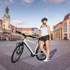 SachsenRAD Frontgepäckträger für C3T/C3V/C3M