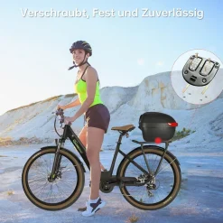 SachsenRAD Gepäckträger-Box Globus für C5 F6 C3T S8