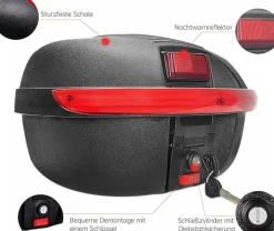 SachsenRAD Gepäckträger-Box Globus für C5 F6 C3T S8