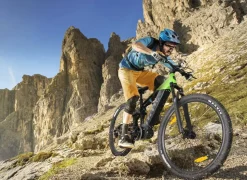 SachsenRAD M5 Centro EMTB 29