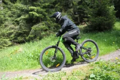SachsenRAD M5 Centro EMTB 29
