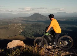 SachsenRAD M5 Centro EMTB 29