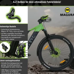 SachsenRAD M5 Centro EMTB 29