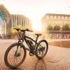 SachsenRAD [Refurbished] E-Racing Mountain Bike R6 NEO II V2 TÜV Zertifiziert 500Wh bis 150KM 26 Zoll