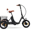 SachsenRAD T6S Comfort Air mit Alarmanlage