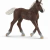 Schleich - Farm World - Schwarzwälder Fohlen