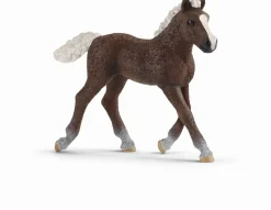 Schleich - Farm World - Schwarzwälder Fohlen