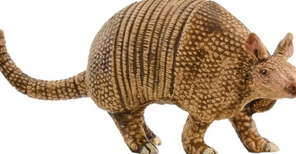 Schleich Gürteltier