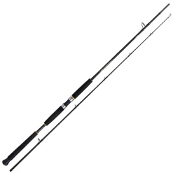 Shimano Beastmaster AX Pilk 2,40m 150-300g 2pc Pilkrute
