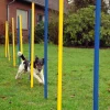 12-teiliges Agility Slalom Set - Hindernis mit 12 Stangen und Abstandsschnur