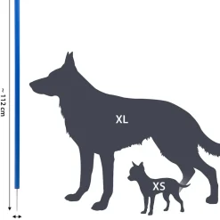 12-teiliges Agility Slalom Set - Hindernis mit 12 Stangen und Abstandsschnur