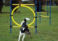 3-teiliges Agility Sprung-Set, mit 2 Hürden und Sprungreif