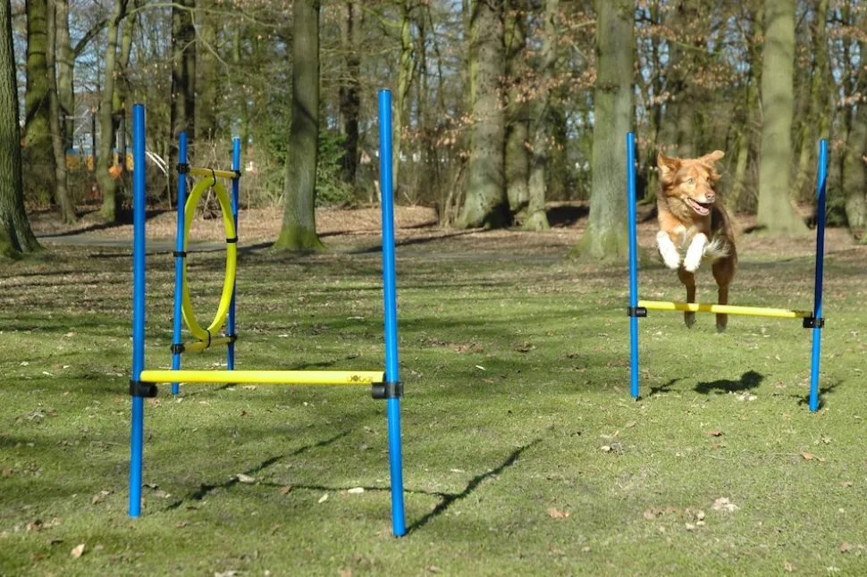 3-teiliges Agility Sprung-Set, mit 2 Hürden und Sprungreif
