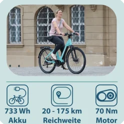 Tretwerk Amber E Bike Damen 28 Zoll Elektrofahrrad 155 - 185 cm Hollandrad Tiefeinsteiger mit 9 Gang Schaltung