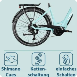 Tretwerk Amber E Bike Damen 28 Zoll Elektrofahrrad 155 - 185 cm Hollandrad Tiefeinsteiger mit 9 Gang Schaltung