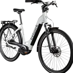 Tretwerk Amber Nexus E Bike Damen 28 Zoll Elektrofahrrad 155 - 185 cm Hollandrad Tiefeinsteiger mit 8 Gang Nabenschaltung