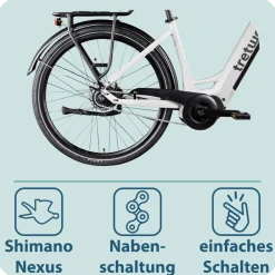 Tretwerk Amber Nexus E Bike Damen 28 Zoll Elektrofahrrad 155 - 185 cm Hollandrad Tiefeinsteiger mit 8 Gang Nabenschaltung