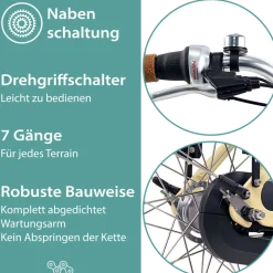 Tretwerk Aurora E Bike Damen 28 Zoll Elektrofahrrad 165 - 185 cm retro Hollandrad E Damenfahrrad mit Nabenschaltung und Rücktritt