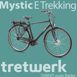 Tretwerk Mystic E Bike 28 Zoll Pedelec 170 - 190 cm Herrenrad Trekking Elektrofahrrad mit Nabenschaltung City E Fahrrad
