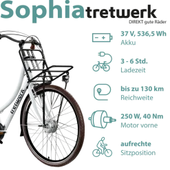 Tretwerk Sophia E Bike Damen Herren 28 Zoll Pedelec 3 Gang Elektrofahrrad mit 536 Wh Elektro Damenfahrrad Citybike mit Bluetooth und App