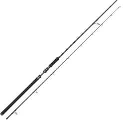 Westin W3 Powercast 3rd 2,51m XXH 40-130g 2Sec Raubfischrute