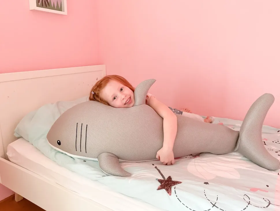 Westmann Pool Buddy versch. Ausführungen