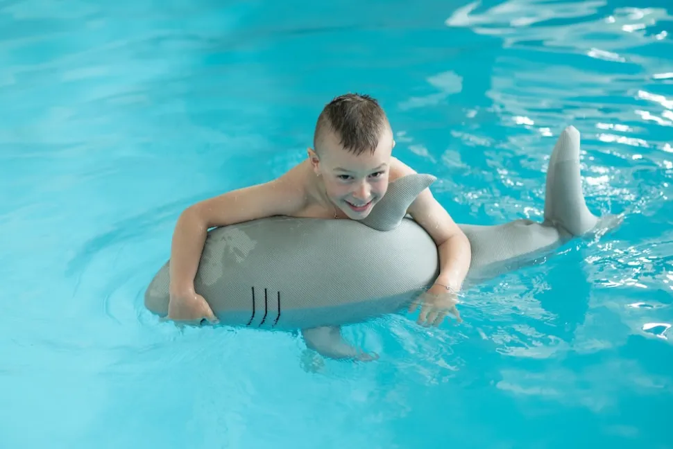 Westmann Pool Buddy versch. Ausführungen