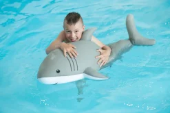 Westmann Pool Buddy versch. Ausführungen